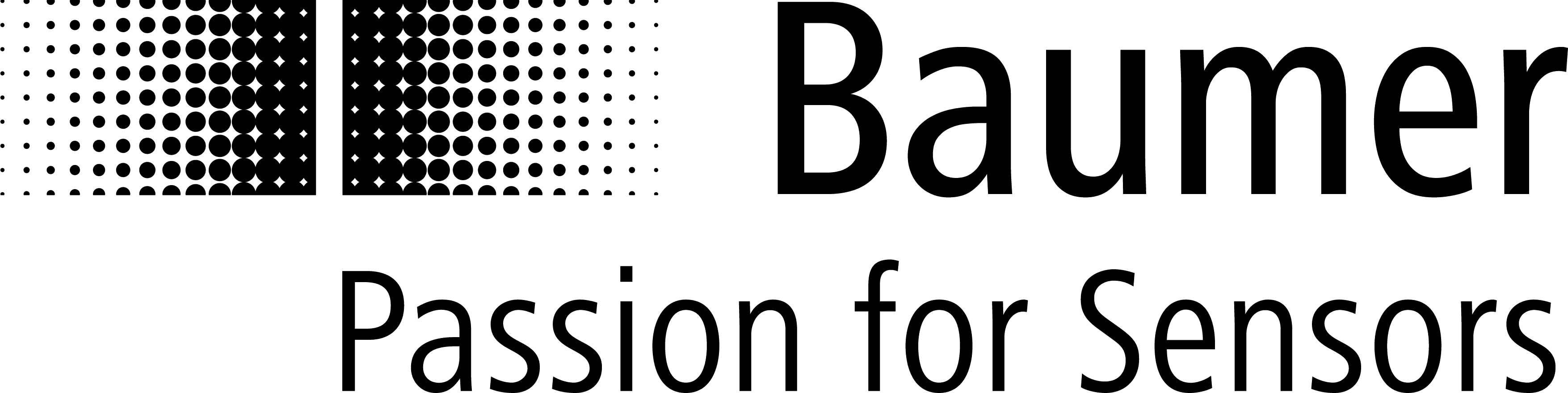 Baumer Holding Logo