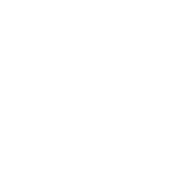 Logo Design Project for a Client